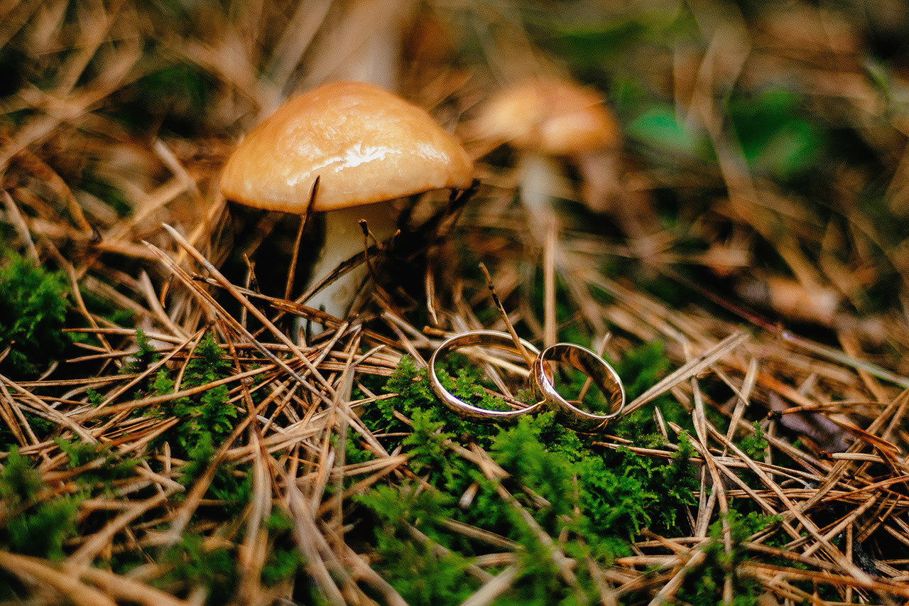 Свадьба. Профессиональный фотограф в Казани Ягудин Азат