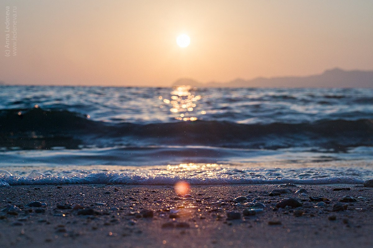 Анна Леденева Фотограф