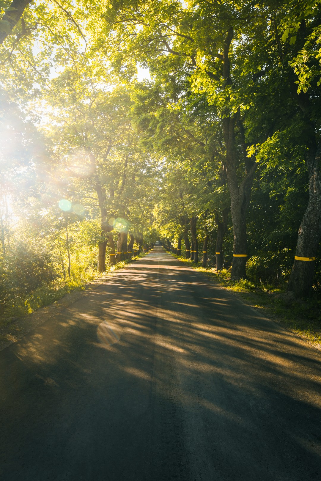 Landscape Photography and Fine Art Prints