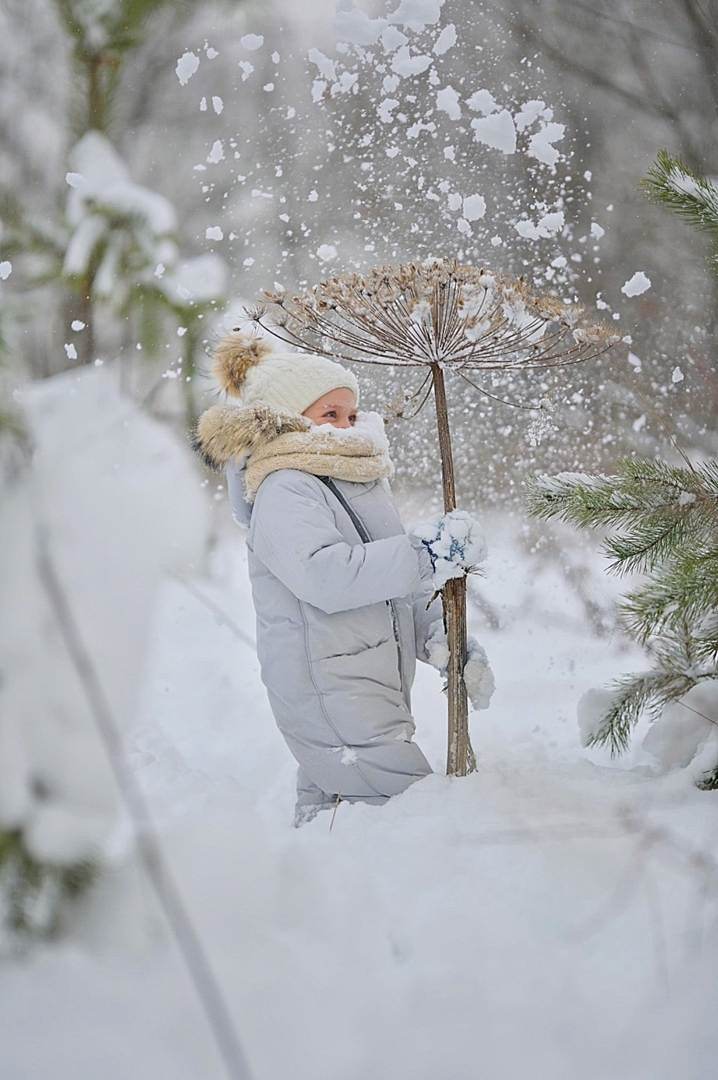 В снегу). Фотограф Ваших событий 📸