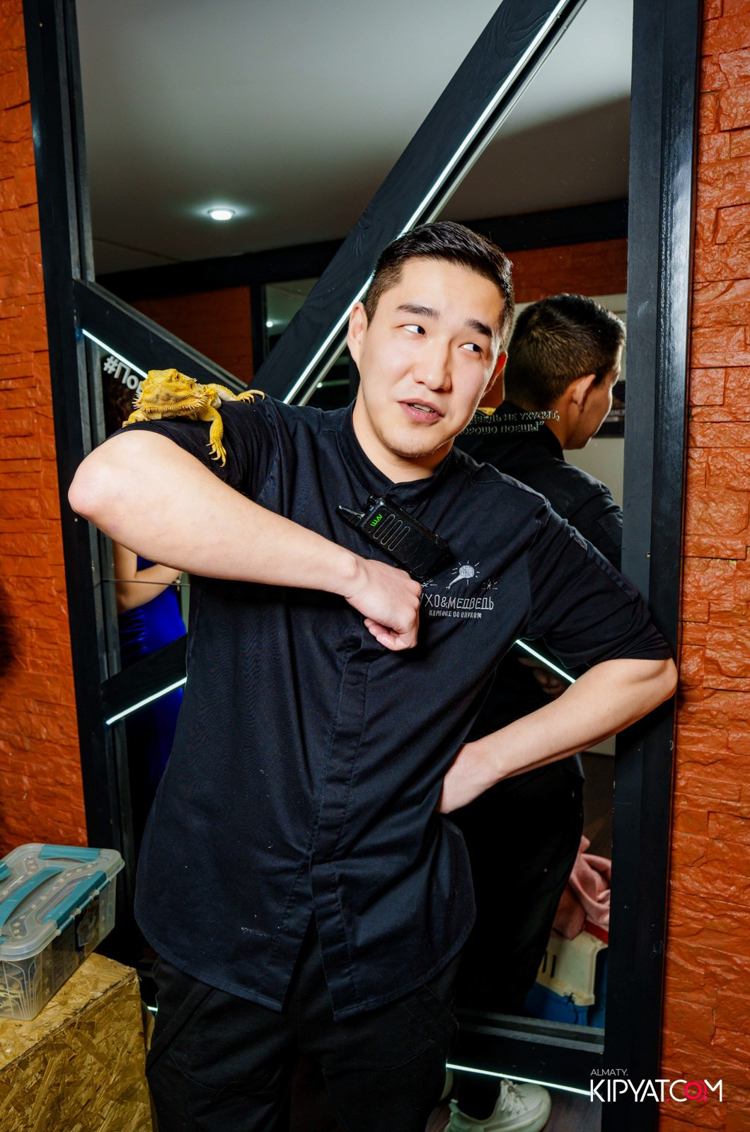 УХО И МЕДВЕДЬ НА САИНА. КИПЯТКОМ АЛМАТЫ!