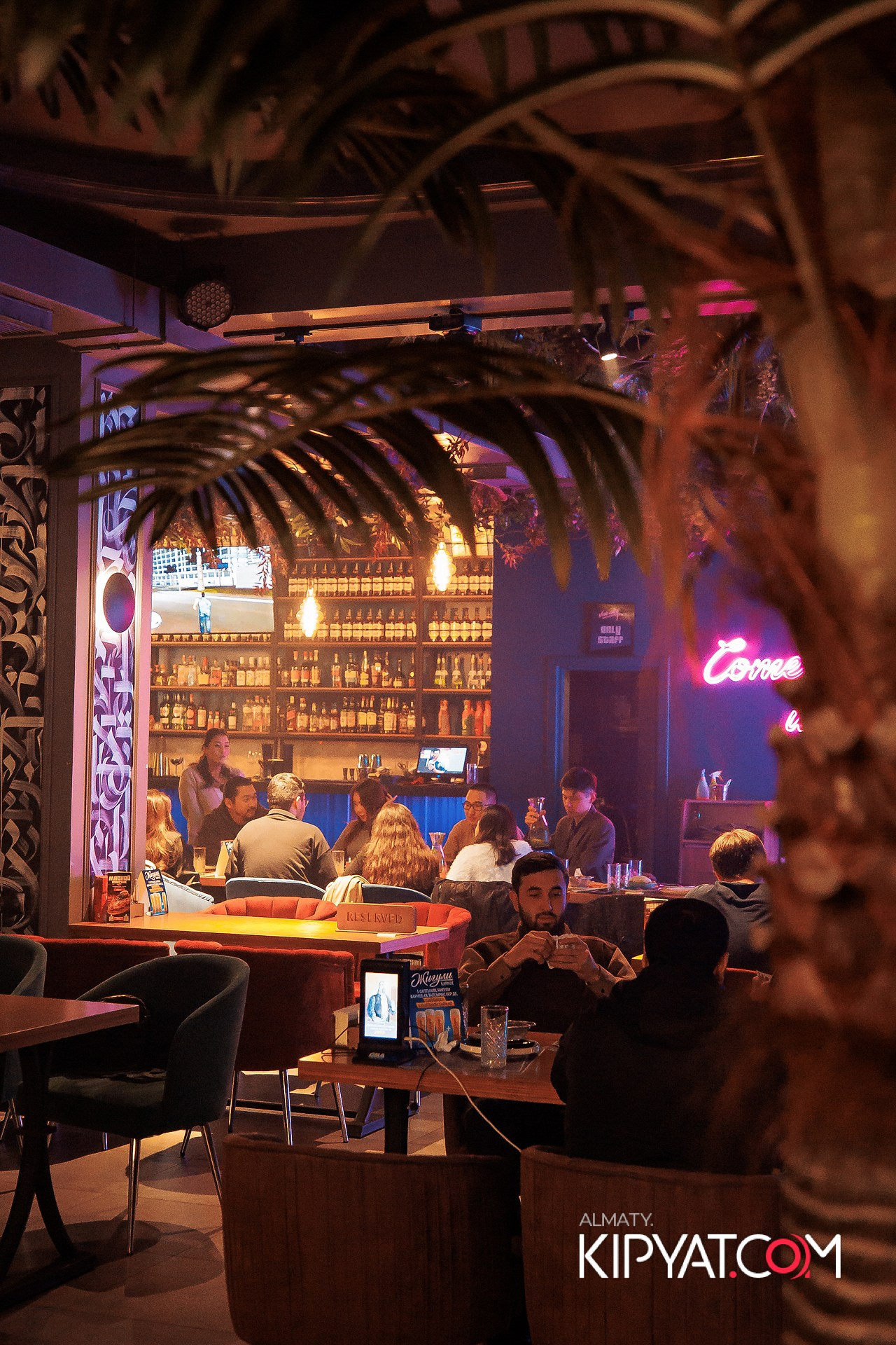 VICE CITY. КИПЯТКОМ АЛМАТЫ!