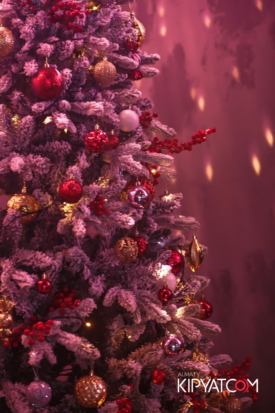 ДОРОГАЯ Я НЕ ПИЛ. КИПЯТКОМ АЛМАТЫ!