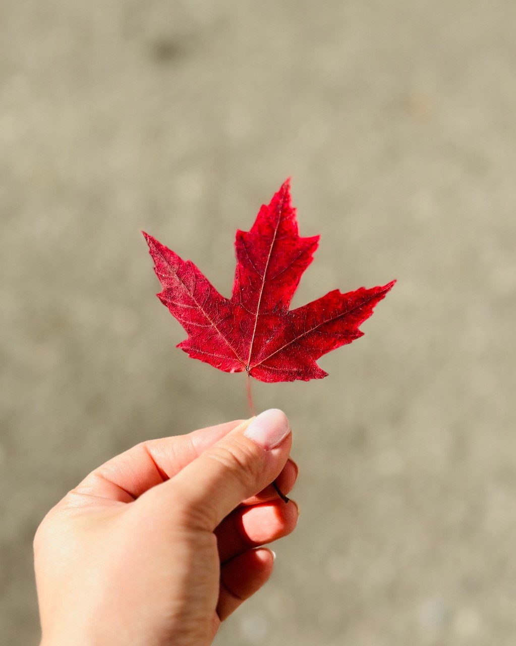 Фото и видео для кофеен в Москве Coffee|Smm|Video