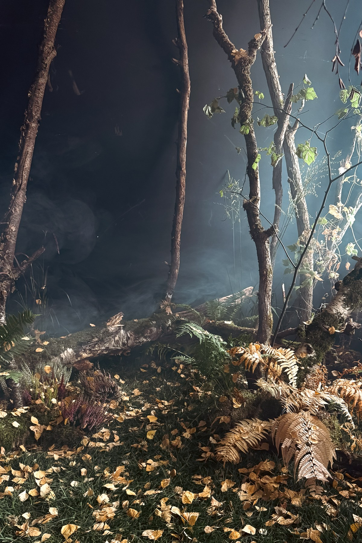 Лучшие фотостудии Москвы для съемки одежды и других товаров