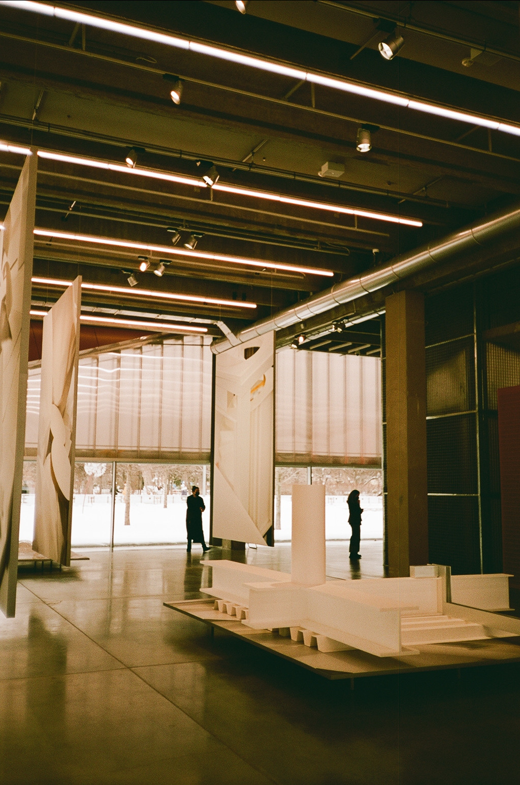 Пленка № 1. Фотограф Скворцова Дарья