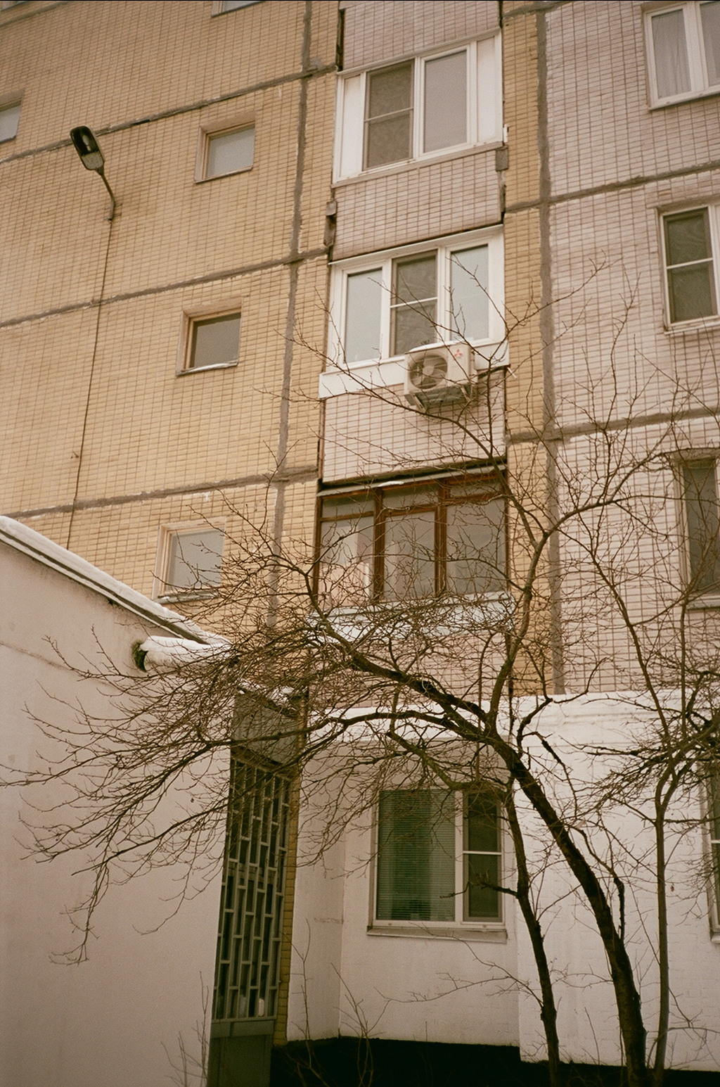 Пленка № 1. Фотограф Скворцова Дарья