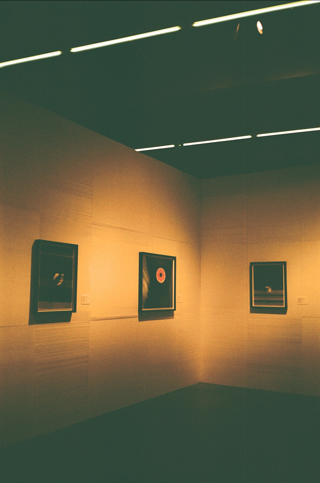 Пленка № 1. Фотограф Скворцова Дарья