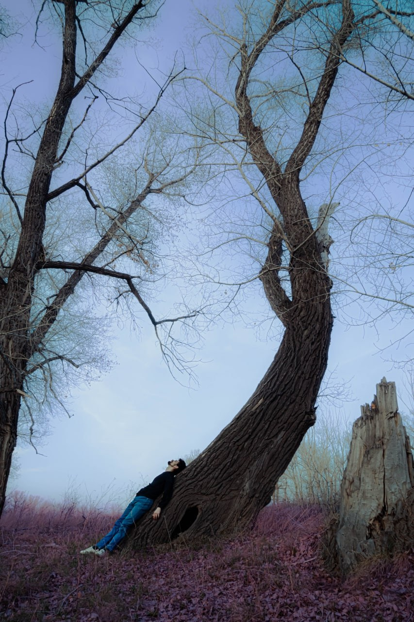 Художественные портреты. Главная