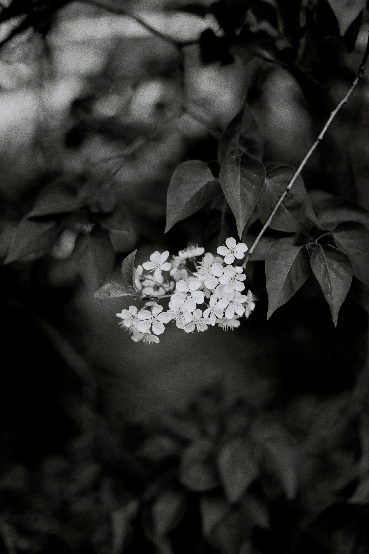 Все, что вокруг меня. Фотограф Евгения Ошкина, Саранск