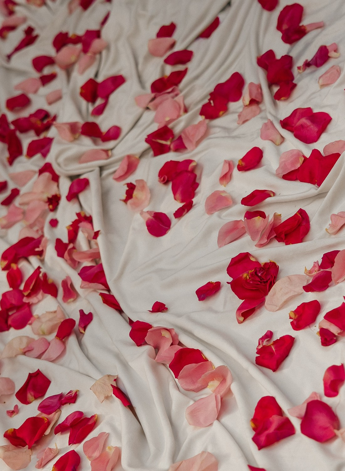 D & E. Свадебный фотограф Москва