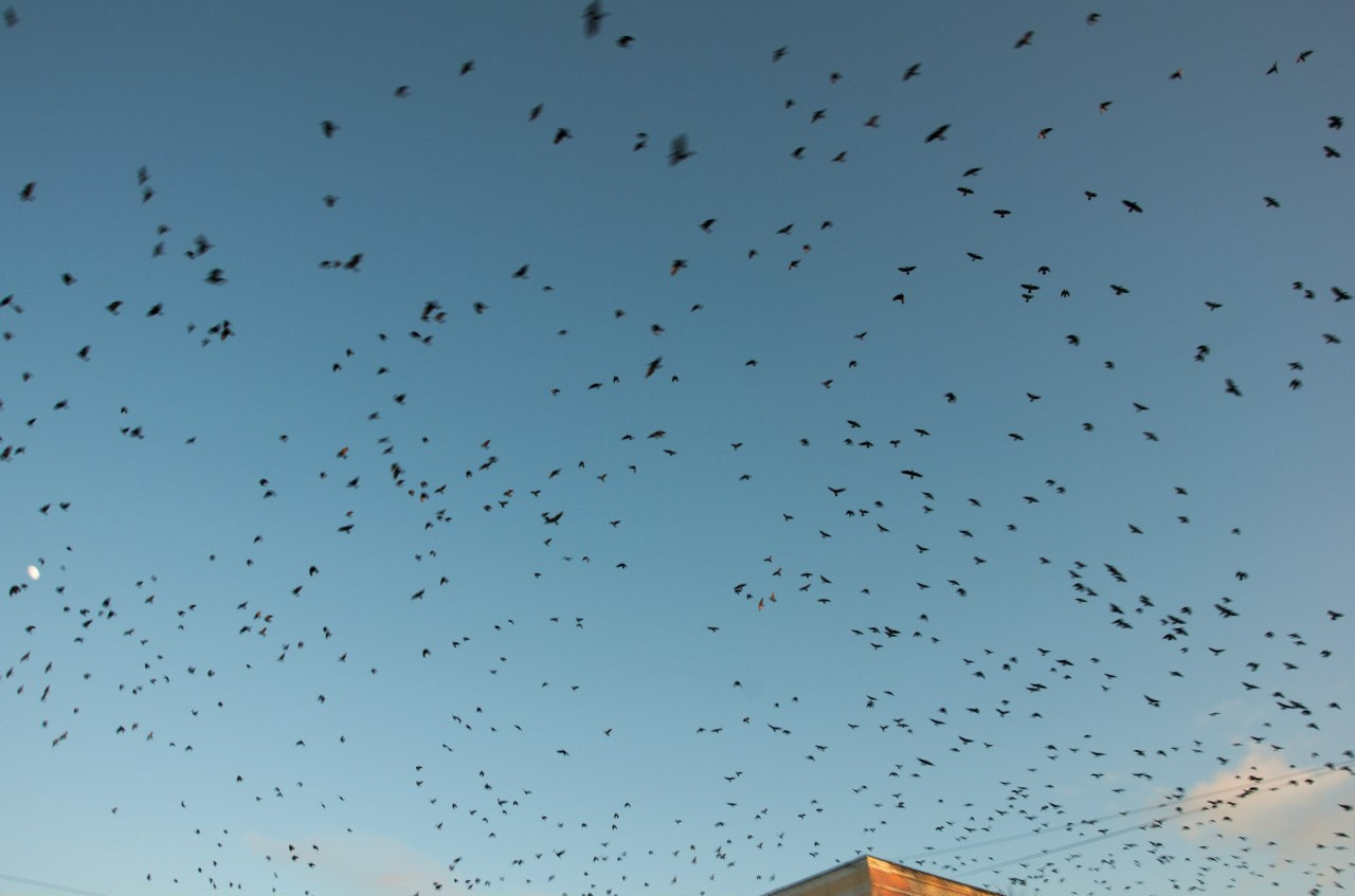 Йошкар-Ола и Чебоксары | 19-20.03.2016. Галерея Фантим