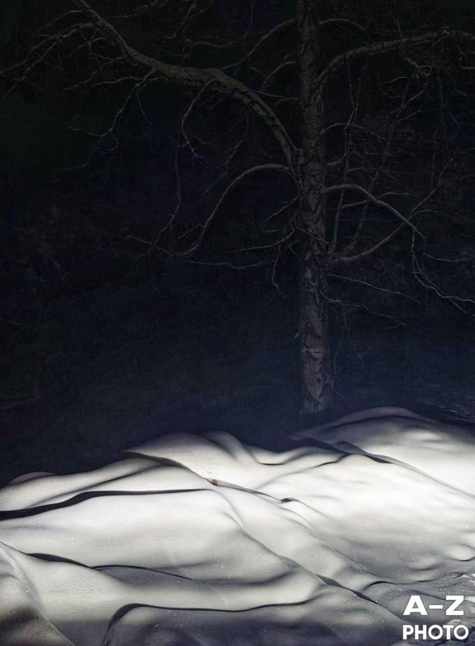 #ФОТОНЕДЕЛИ 26.01.2026. Женский семейный фотограф Тула Москва Захарова Анна