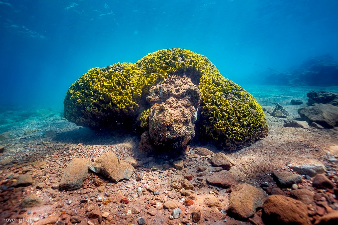 ЯХТЫ / МОРЕ / ПУТЕШЕСТВИЯ. Сложная съёмка для бизнеса b2b / Яхтенный фотограф / Корпоративные календари / Промышленная съёмка / Спортивный репортаж