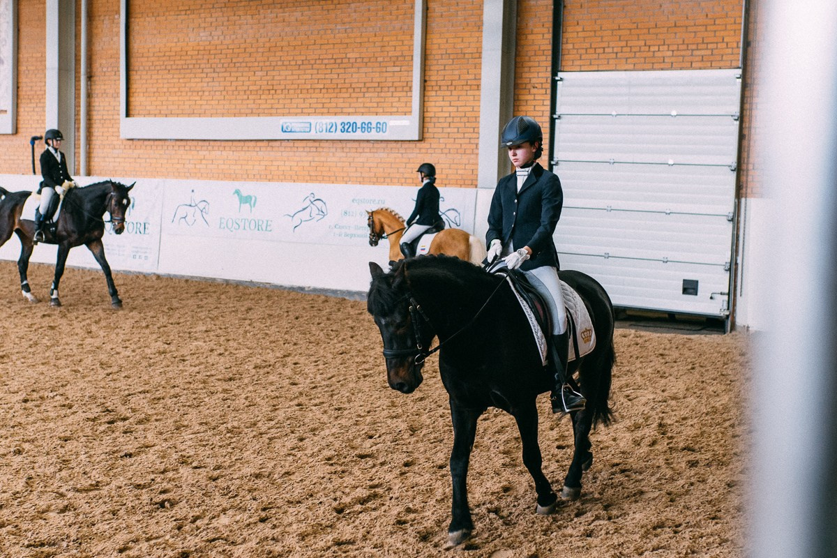 Выездка КСК «Дерби». Репортажный и семейный фотограф в Санкт-Петербурге Тарас Марченко