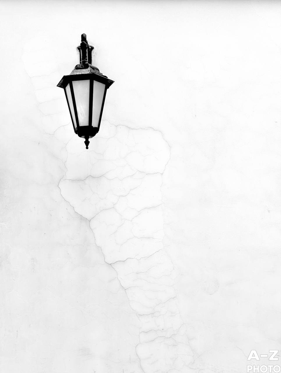 Фото недели 18.11.2025. Женский семейный фотограф Тула Москва Захарова Анна