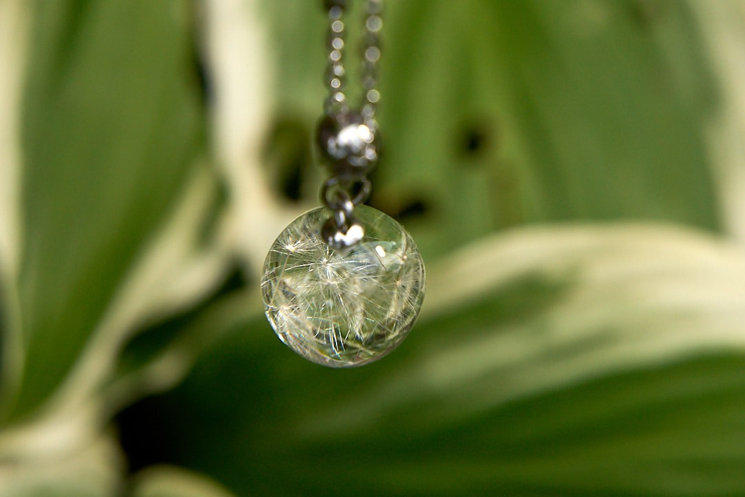 Пердметная фотография. Контент фотография. Краснодар