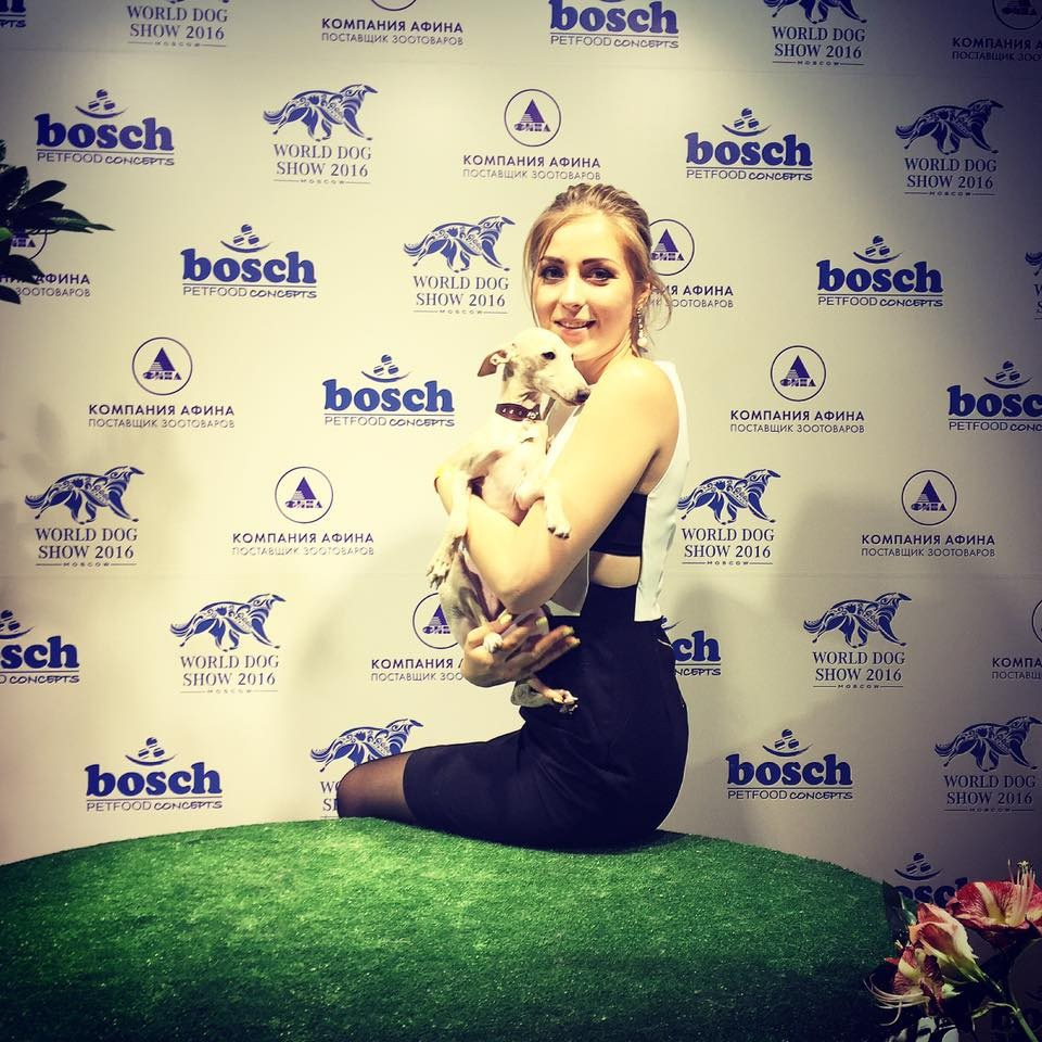 Хроника с Чемпионата Мира. Профессиональный питомник левреток РКФ/FCI ASTI SAPPHIRE 💎 Сочи|Санкт-Петербург