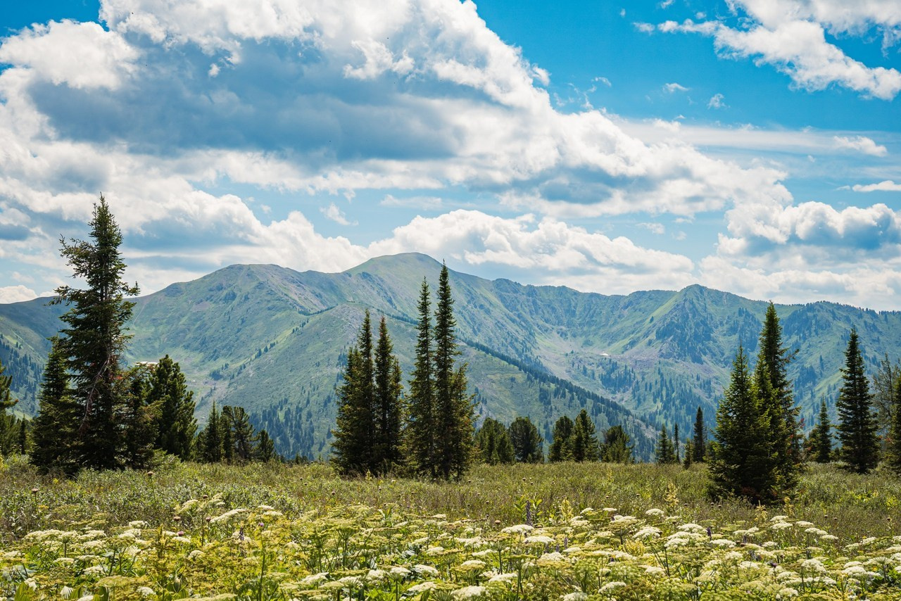 Отзывы на работу фотографа Дениса Южакова. Портретный, репортажный и свадебный фотограф в Екатеринбурге Денис Южаков