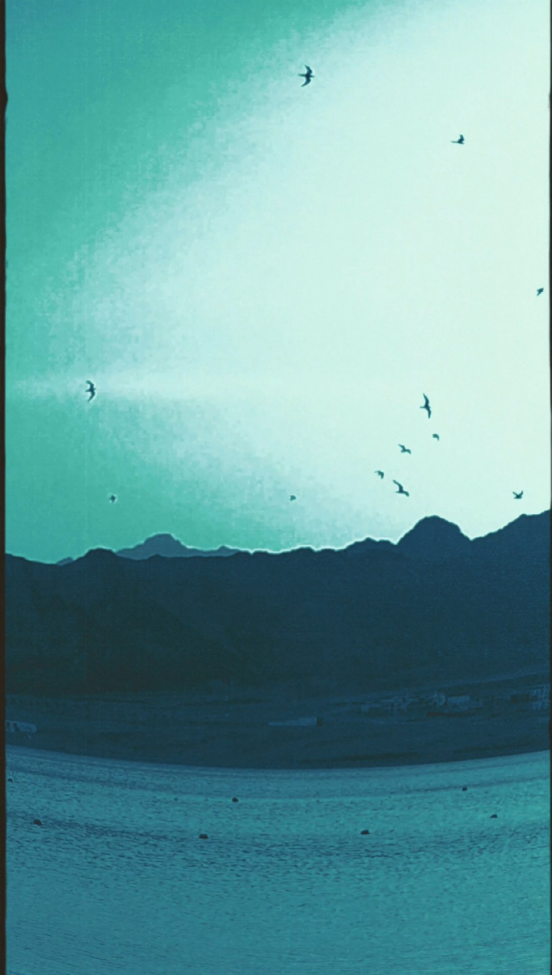 Art house movie «Dancing goddess». Sveti Sveta • визуальный артист Светлана Дубских