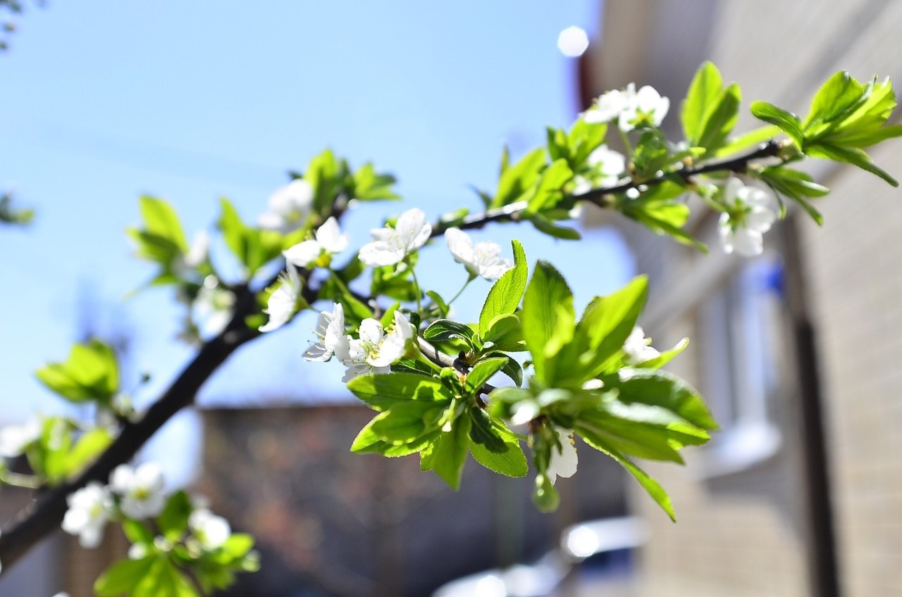 Дары Природы. Sreda fotoArt