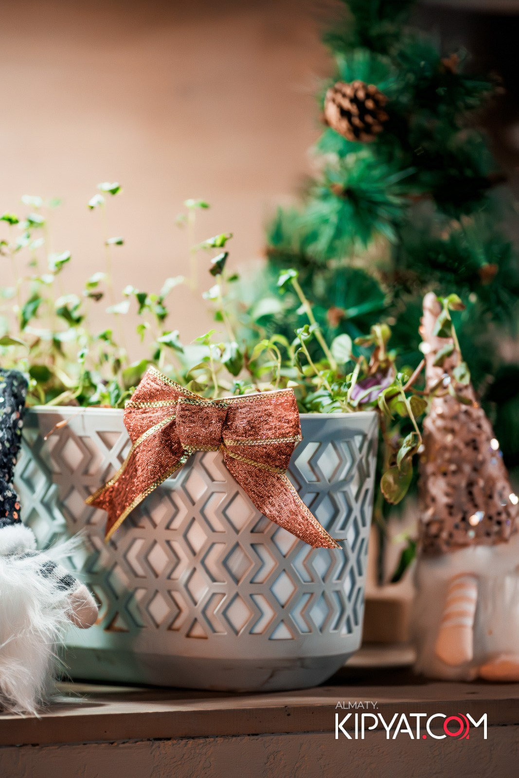 AVENUE. КИПЯТКОМ АЛМАТЫ!