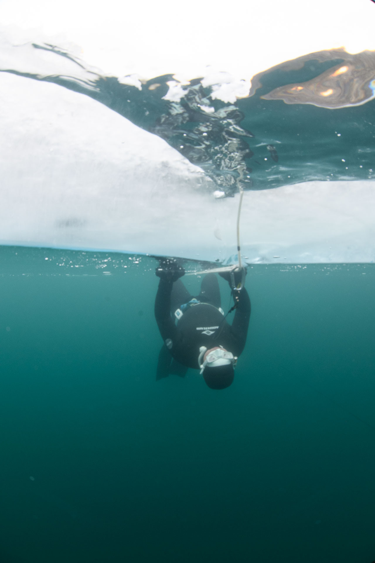 Зимний дайвинг и фридайвинг. Профессиональная фотосъемка. Ростов-на-Дону