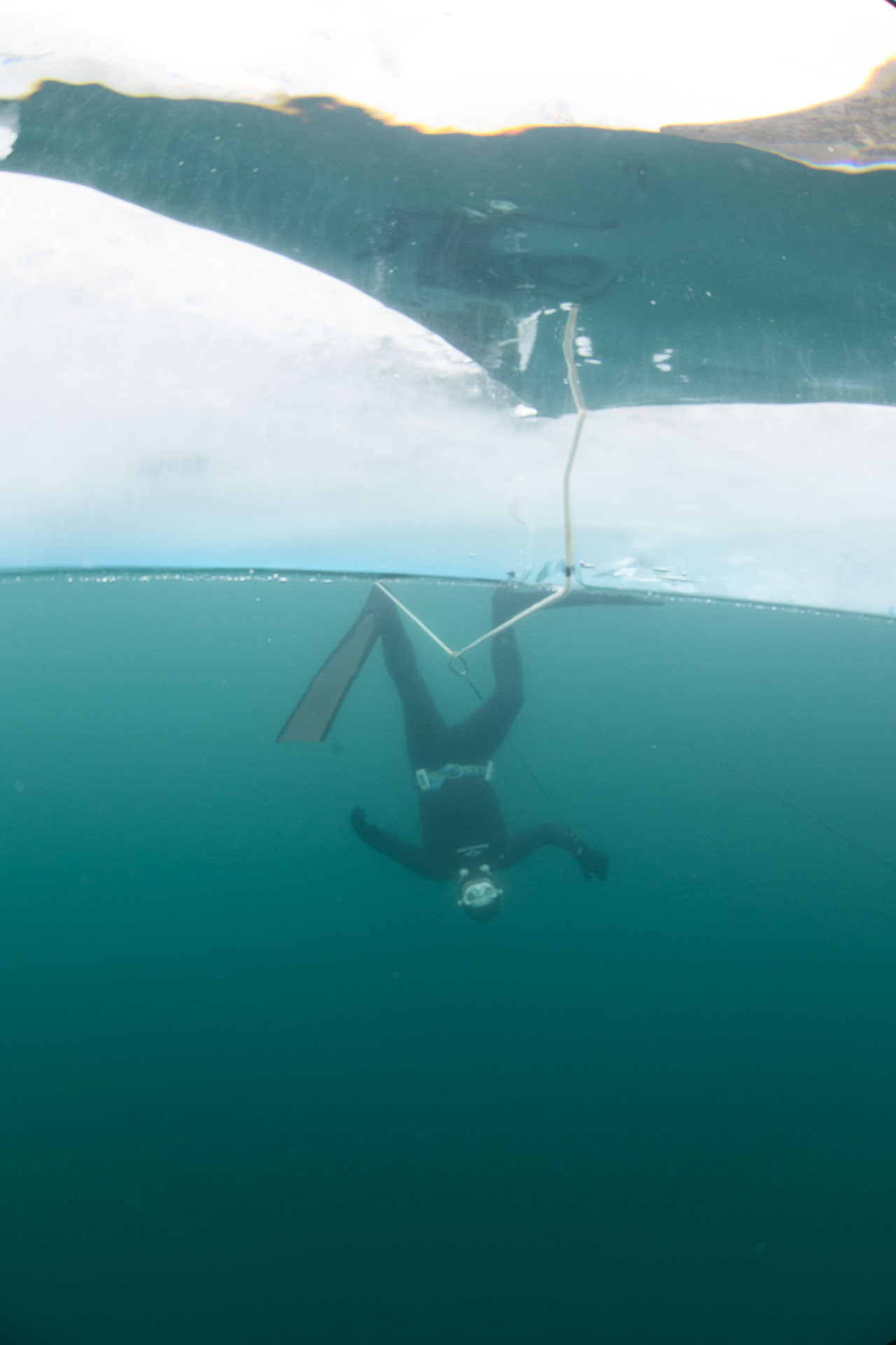 Зимний дайвинг и фридайвинг. Профессиональная фотосъемка. Ростов-на-Дону