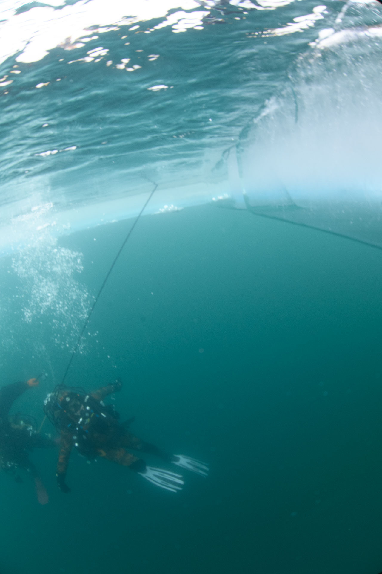 Зимний дайвинг и фридайвинг. Профессиональная фотосъемка. Ростов-на-Дону