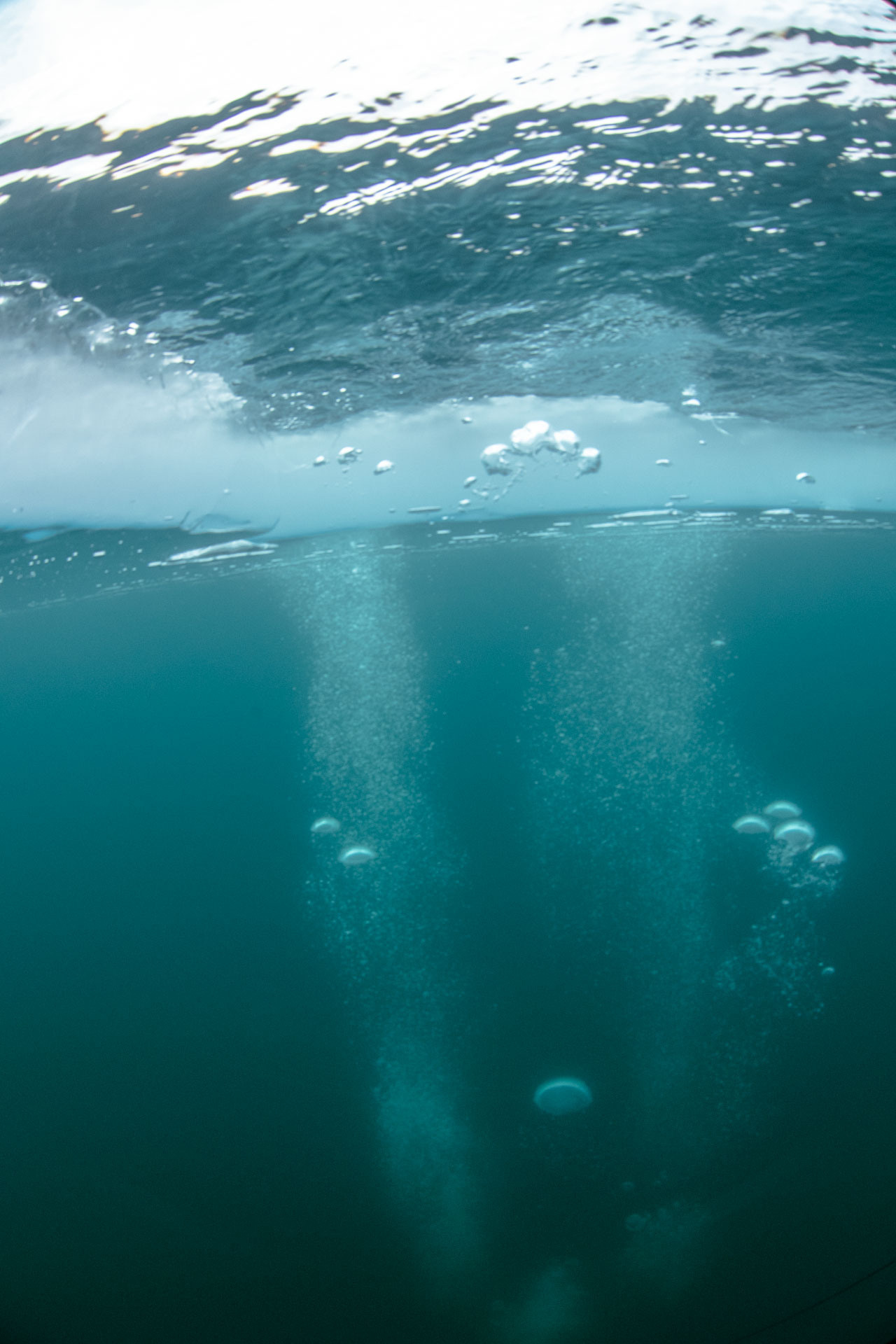 Зимний дайвинг и фридайвинг. Профессиональная фотосъемка. Ростов-на-Дону
