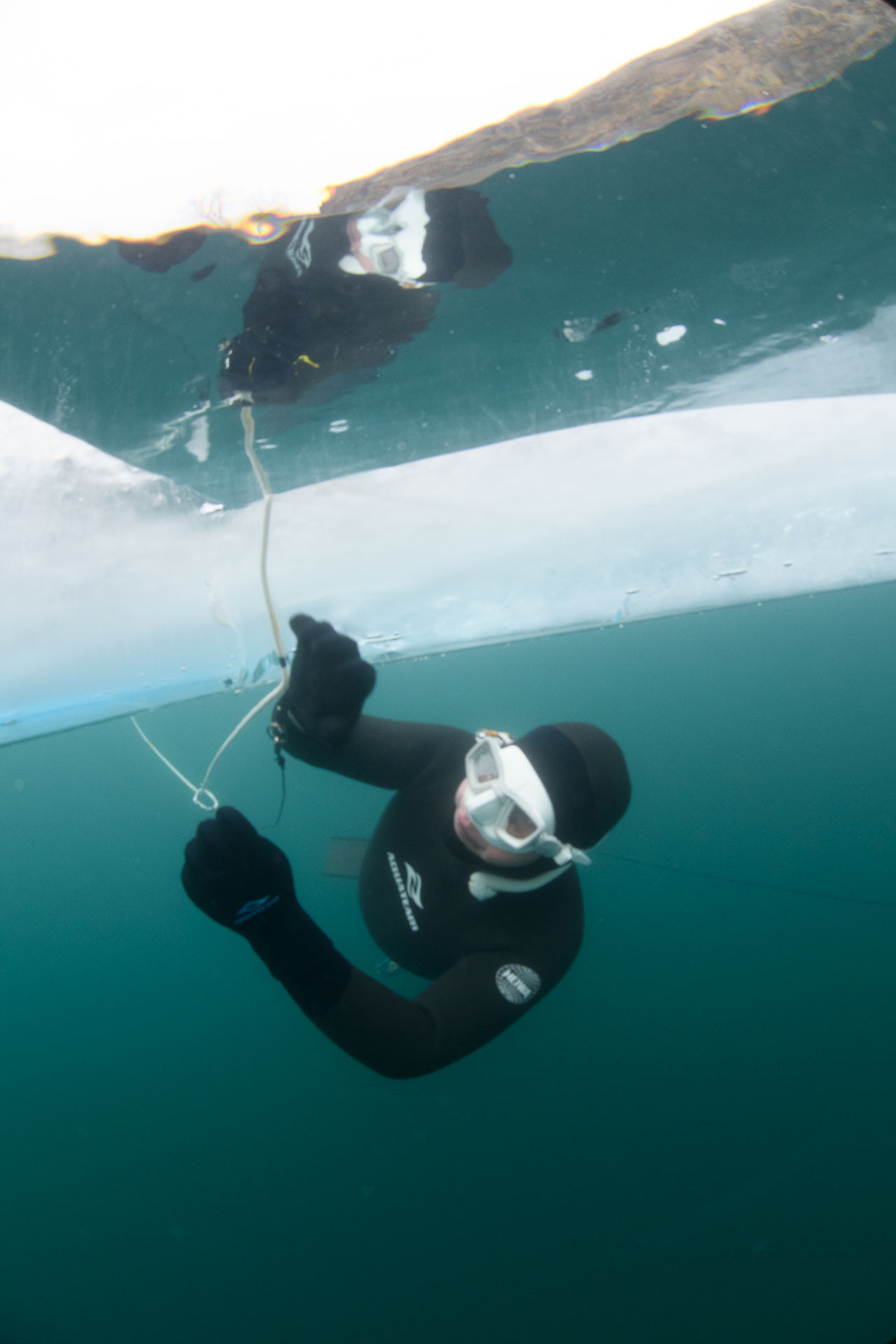 Зимний дайвинг и фридайвинг. Профессиональная фотосъемка. Ростов-на-Дону