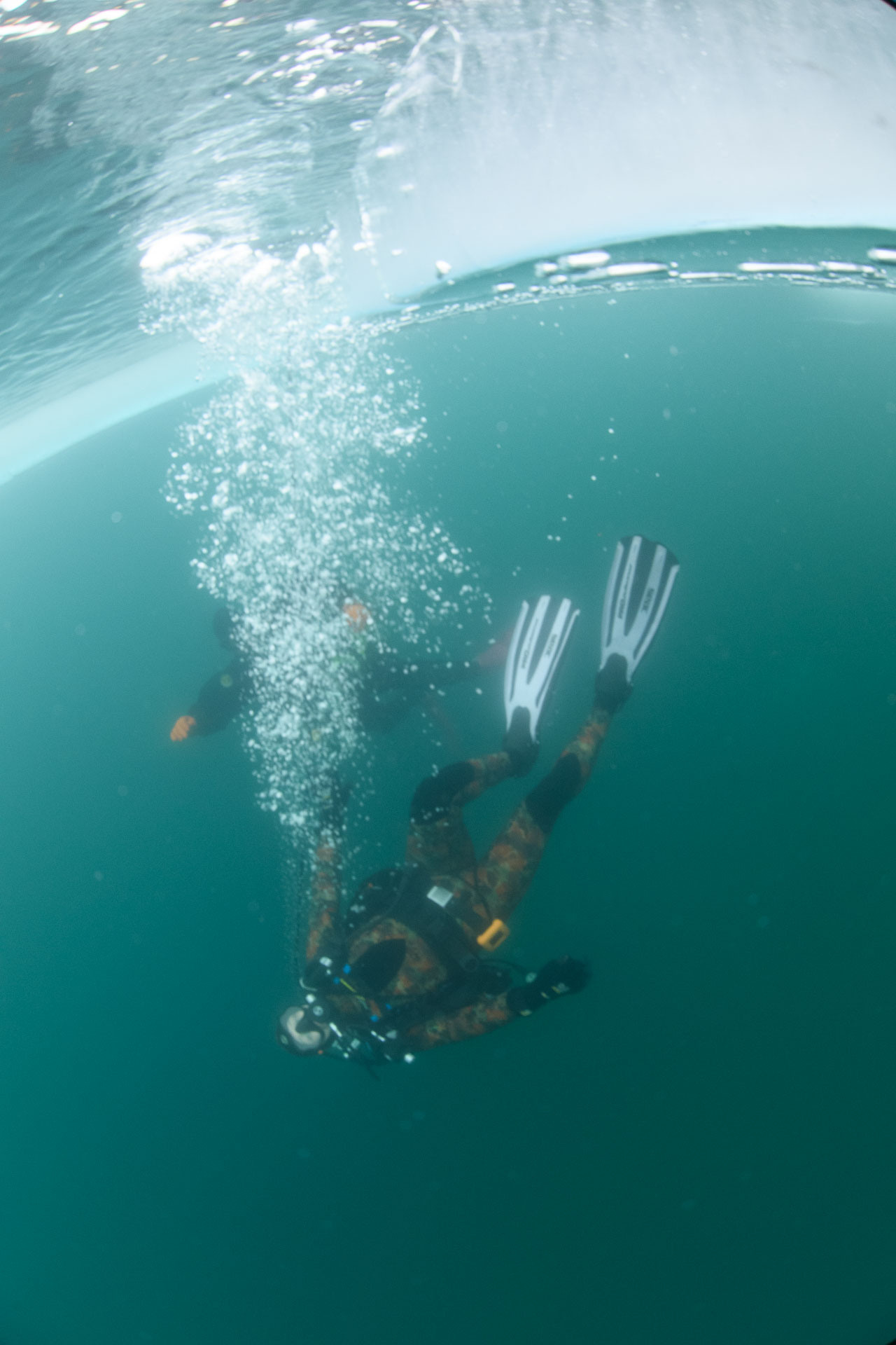 Зимний дайвинг и фридайвинг. Профессиональная фотосъемка. Ростов-на-Дону