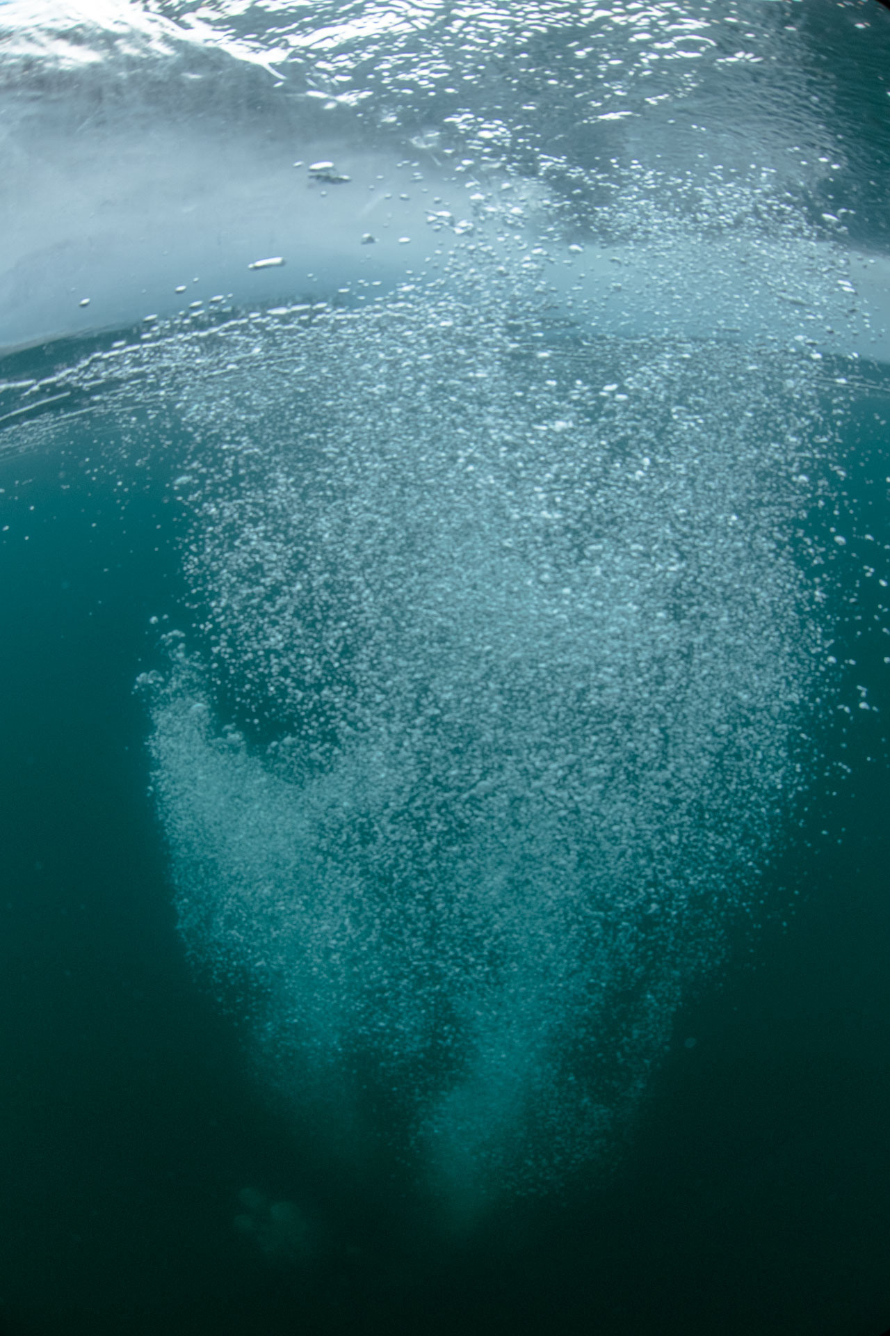 Зимний дайвинг и фридайвинг. Профессиональная фотосъемка. Ростов-на-Дону