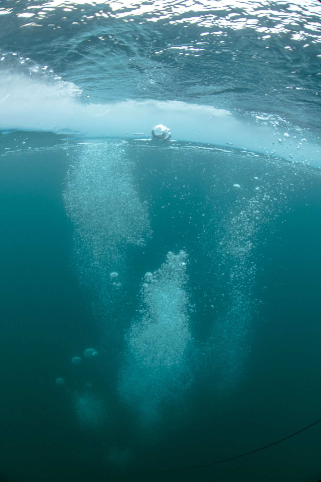 Зимний дайвинг и фридайвинг. Профессиональная фотосъемка. Ростов-на-Дону