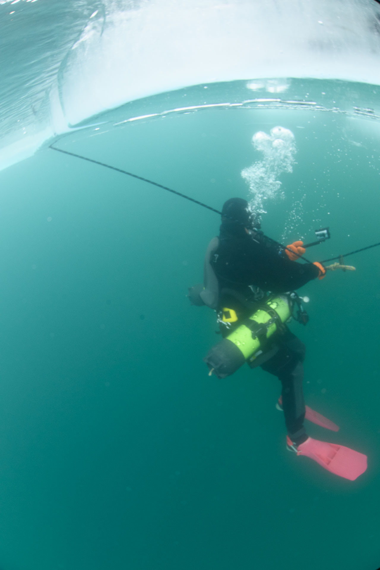 Зимний дайвинг и фридайвинг. Профессиональная фотосъемка. Ростов-на-Дону