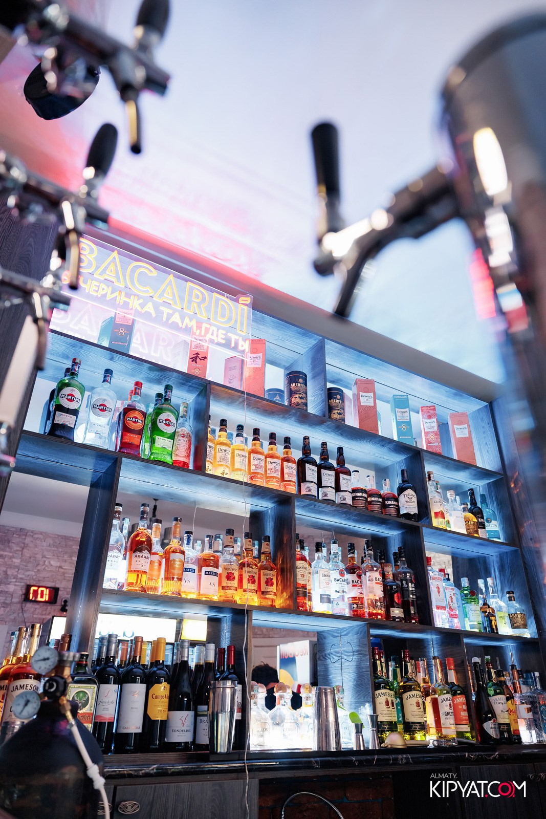 УХО И МЕДВЕДЬ НА ГАГАРИНА. КИПЯТКОМ АЛМАТЫ!