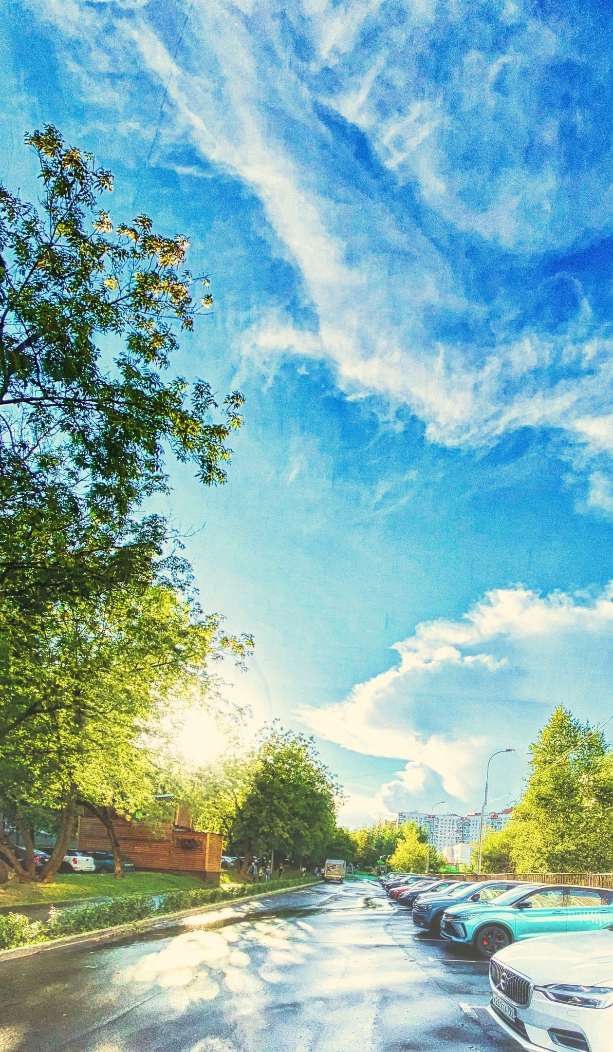 ПРИРОДА. Слепки времени. Фотографии природы и событий. Москва. Сергей Аллагулов