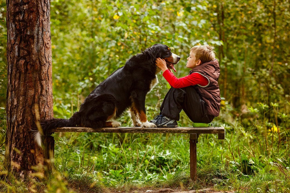 Егор. Классный фотограф, по мнению школьников