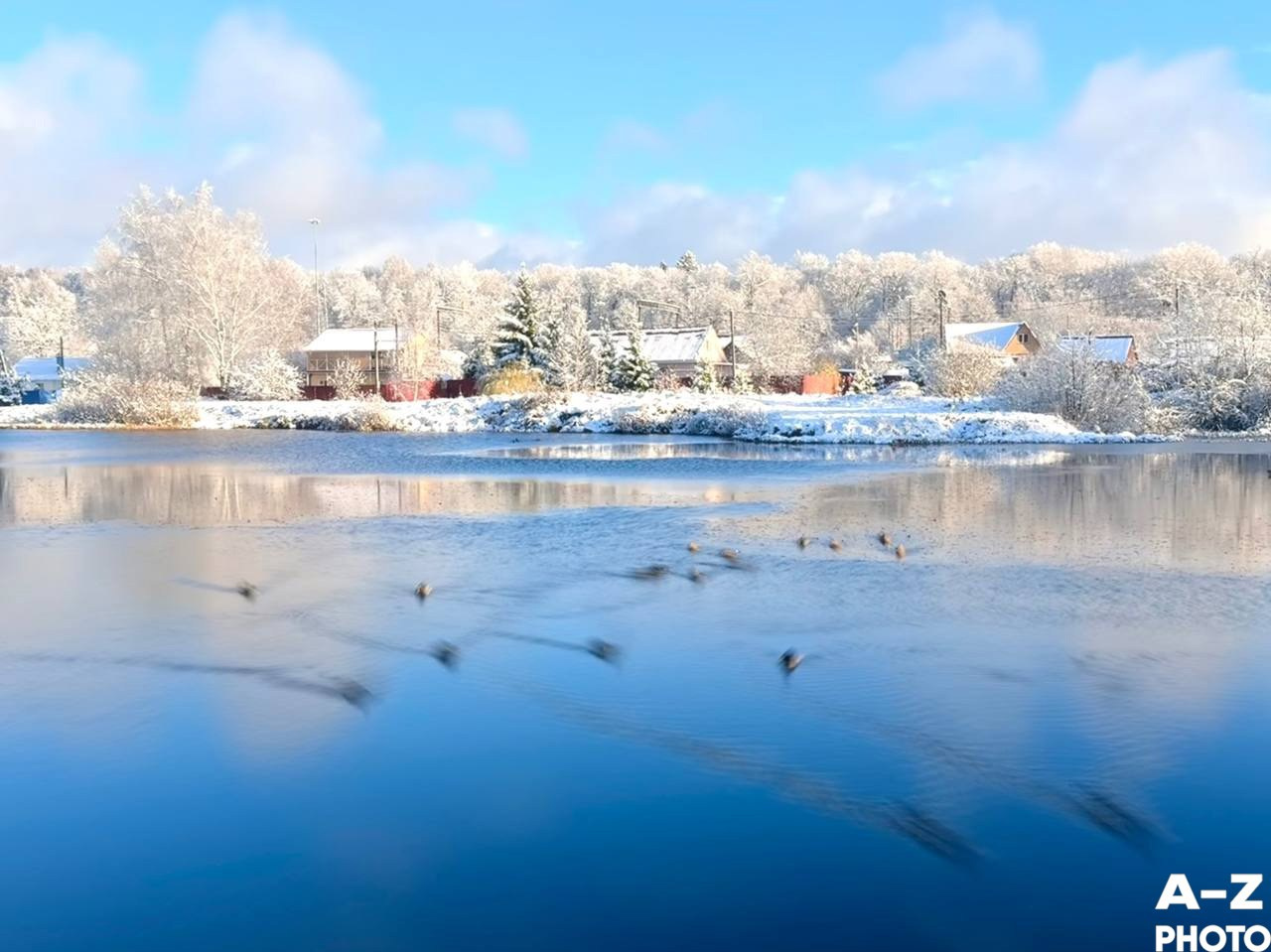 Фото недели 18.11.2025. Женский семейный фотограф Тула Москва Захарова Анна