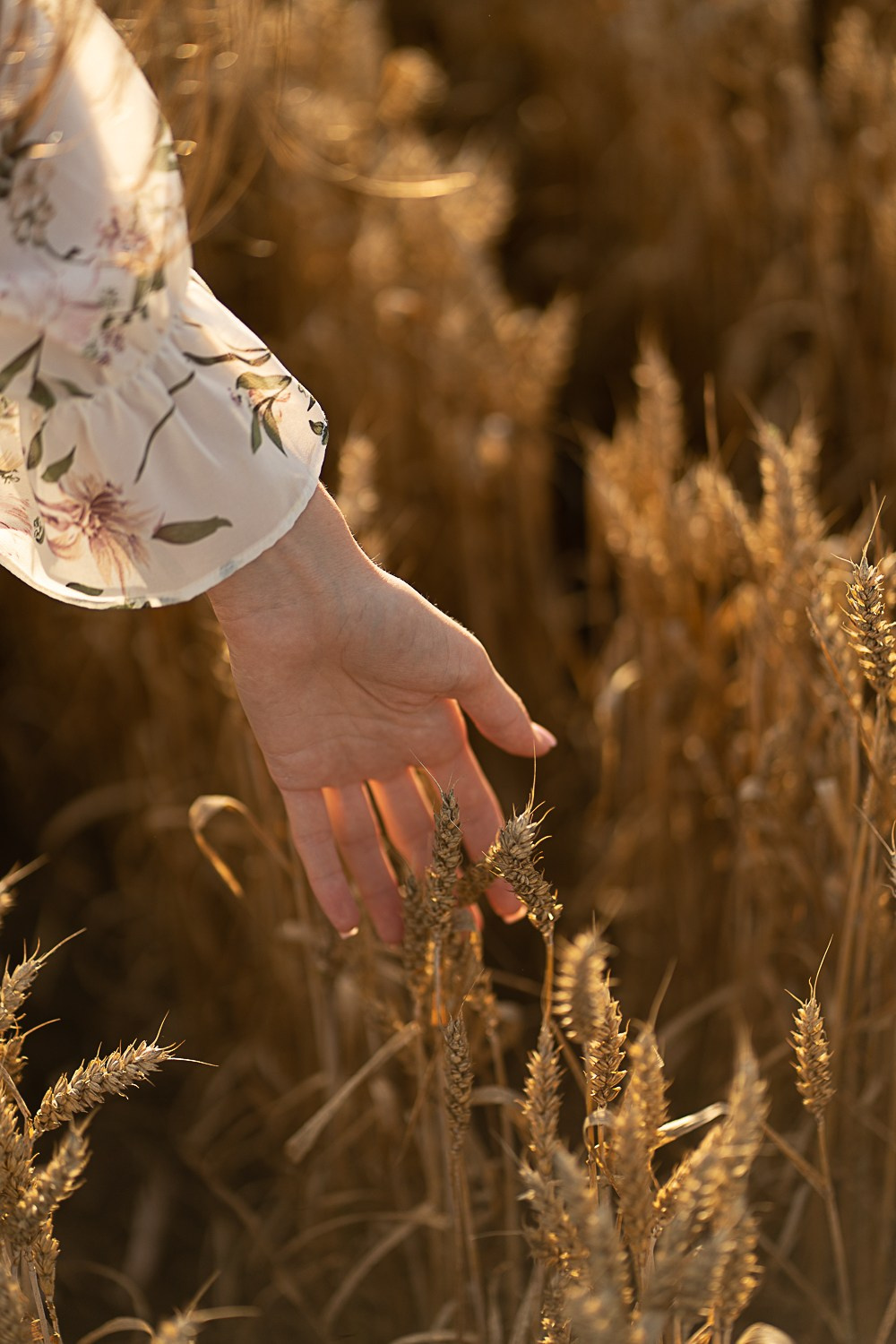 Виктория. Фотограф в Красноярске. Юлия Чаушанская