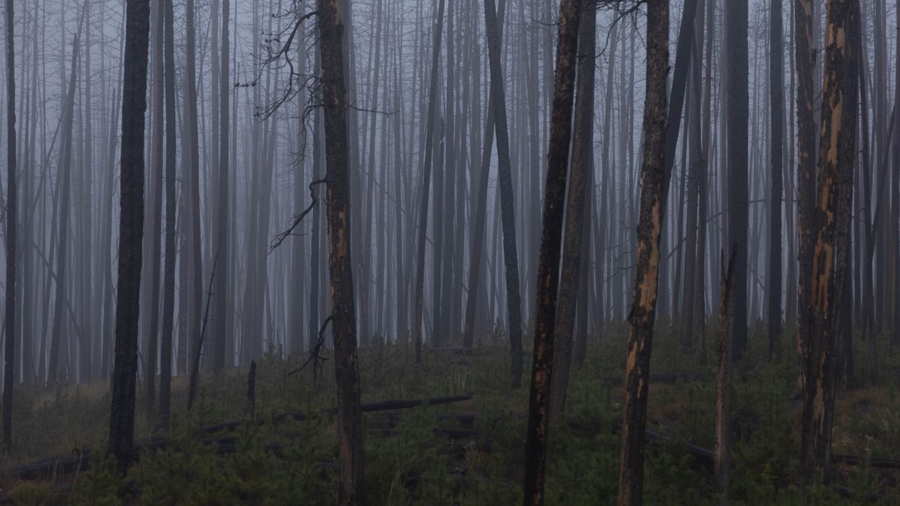 Креативный фотограф Артём Йома