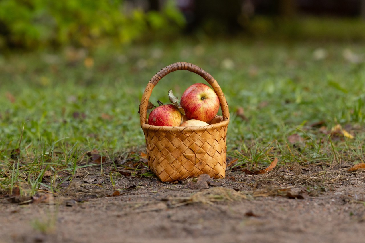 Отзывы. Семейный и детский фотограф в Санкт-Петербурге Пуликов Дмитрий