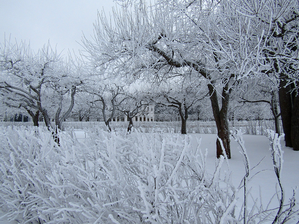 Ландшафтная фотосъемка. Репортажный фотограф Ольга Добросинская в Санкт-Петербурге