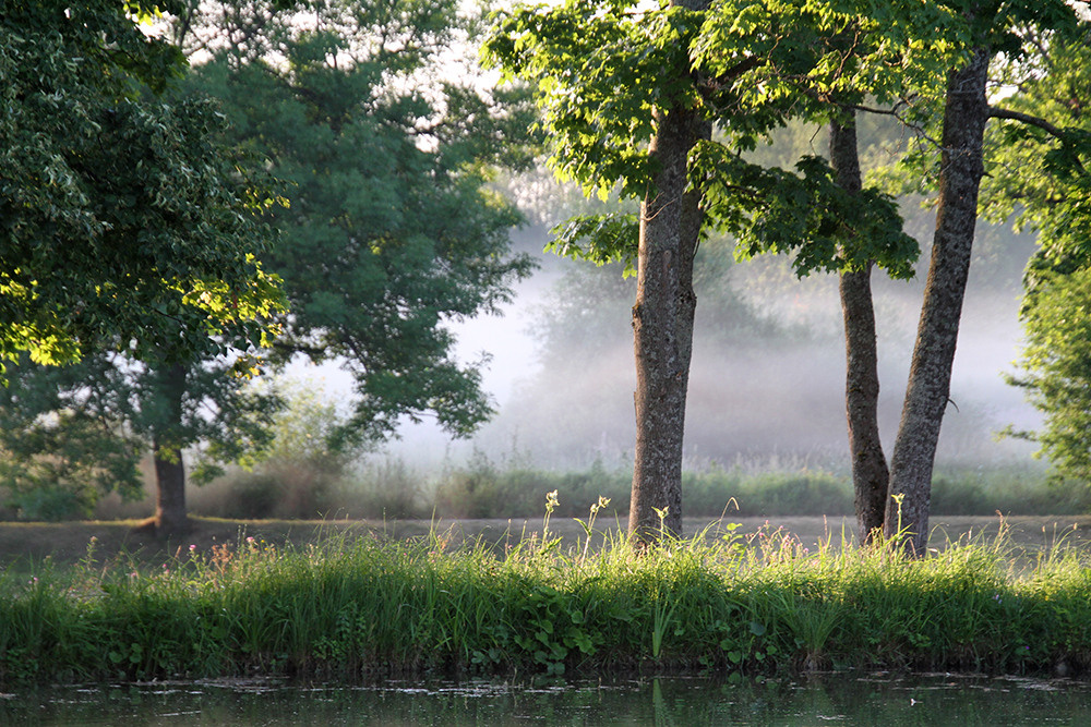 Магия утра. Репортажный фотограф Ольга Добросинская в Санкт-Петербурге