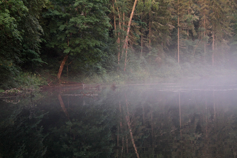 Пейзажи. Репортажный фотограф Ольга Добросинская в Санкт-Петербурге