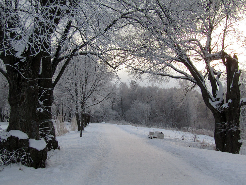Ландшафтная фотосъемка. Репортажный фотограф Ольга Добросинская в Санкт-Петербурге