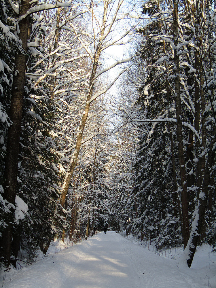 Пейзажи. Репортажный фотограф Ольга Добросинская в Санкт-Петербурге