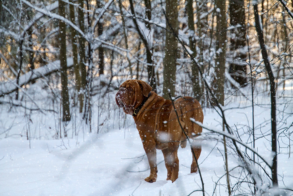 Фотосессия для Бади. Репортажный фотограф Ольга Добросинская в Санкт-Петербурге