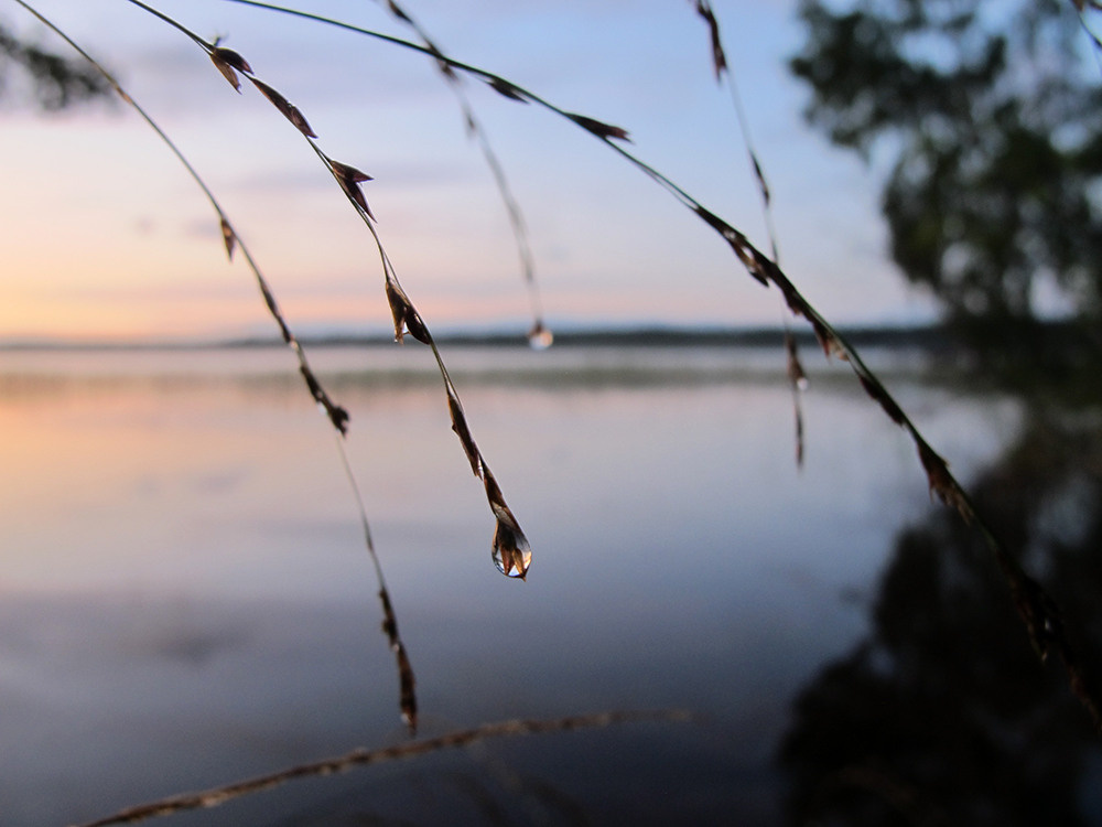 Магия утра. Репортажный фотограф Ольга Добросинская в Санкт-Петербурге