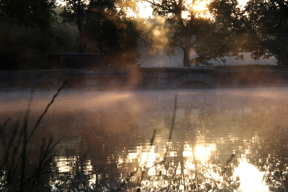 Магия утра. Репортажный фотограф Ольга Добросинская в Санкт-Петербурге